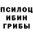 Cocaine Fish Scale Nikolai Burykin