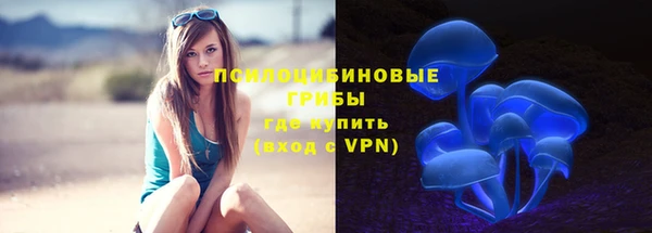 стафф Баксан